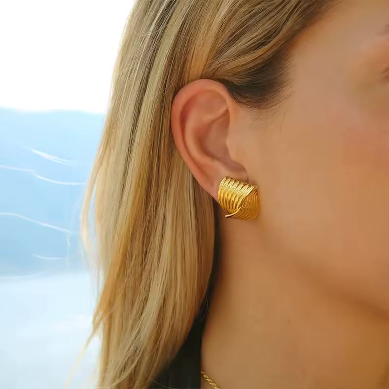 Stainless Steel earrings MissA